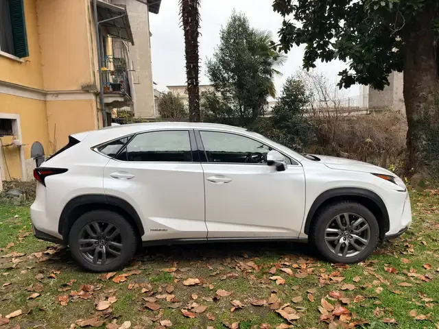 Lexus NX 300h
