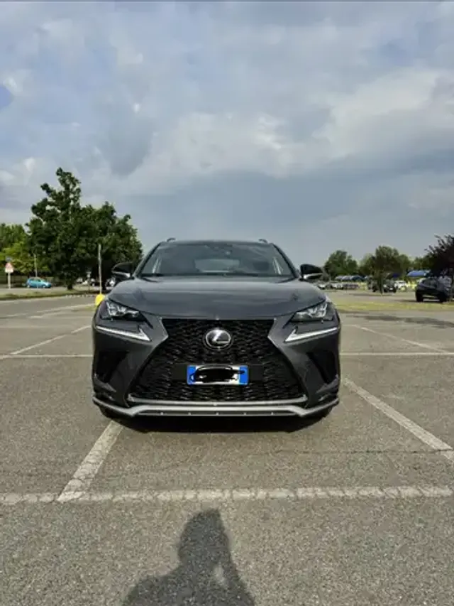 Lexus NX 300h