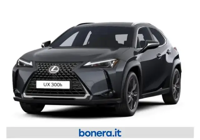 Lexus UX 300h