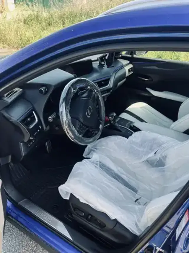 Lexus UX 250h
