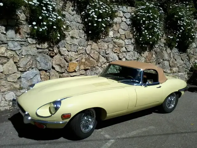 Jaguar E-Type