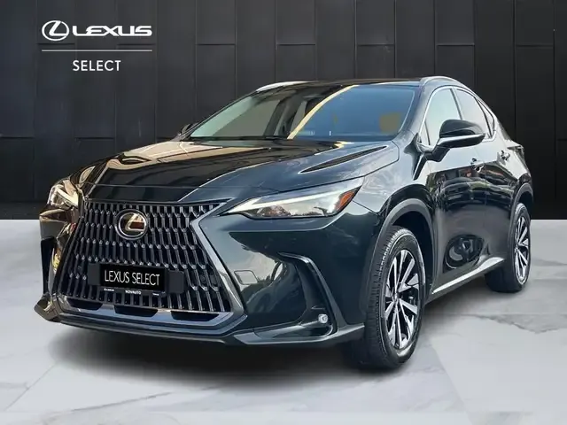 Lexus NX 300