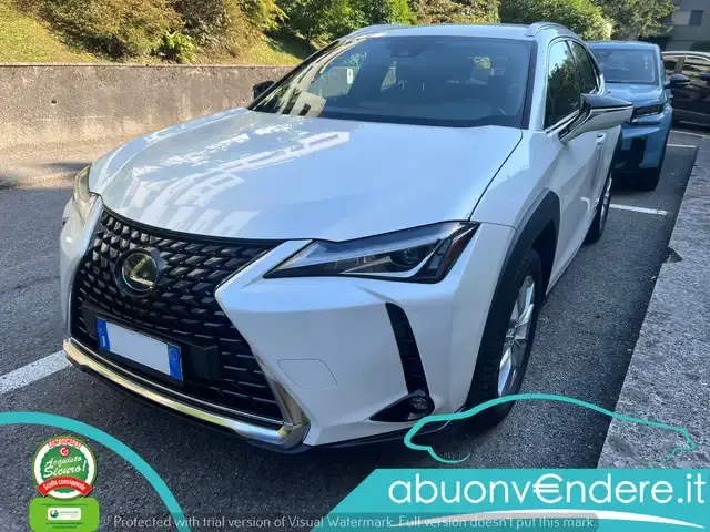 Lexus UX 250h