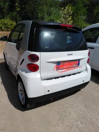 smart passion