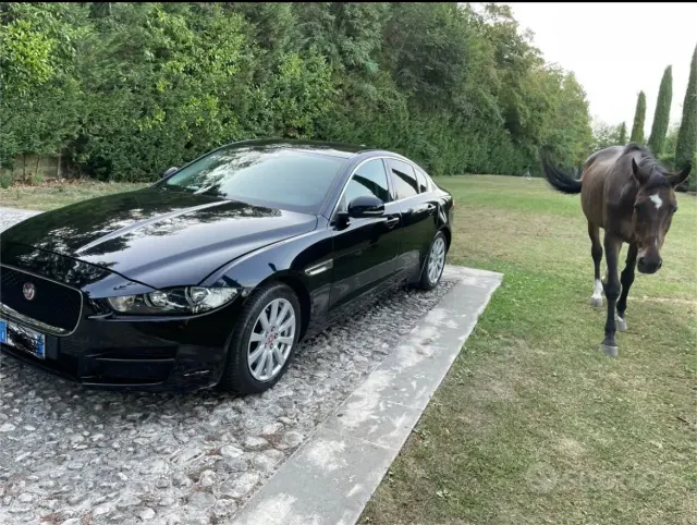 Jaguar XE (X760)