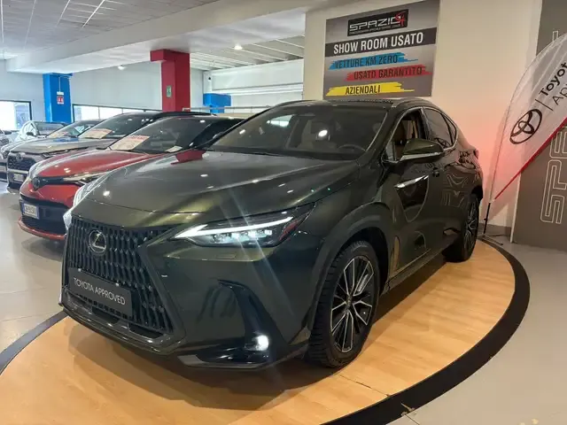 Lexus NX 300