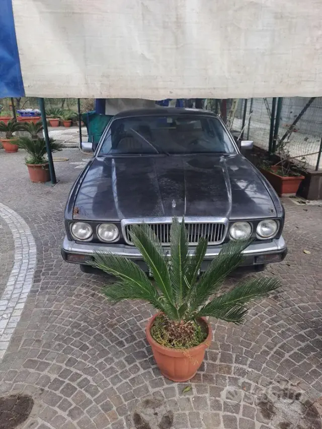 Jaguar XJ/Sover/Daim'82-97