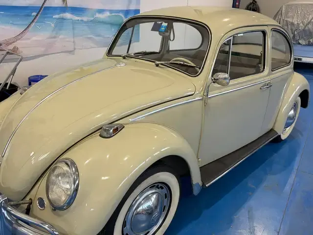 Volkswagen Maggiolino