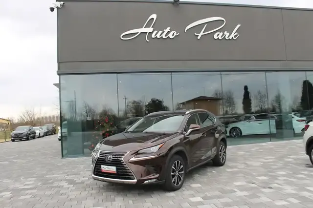 Lexus NX 300h
