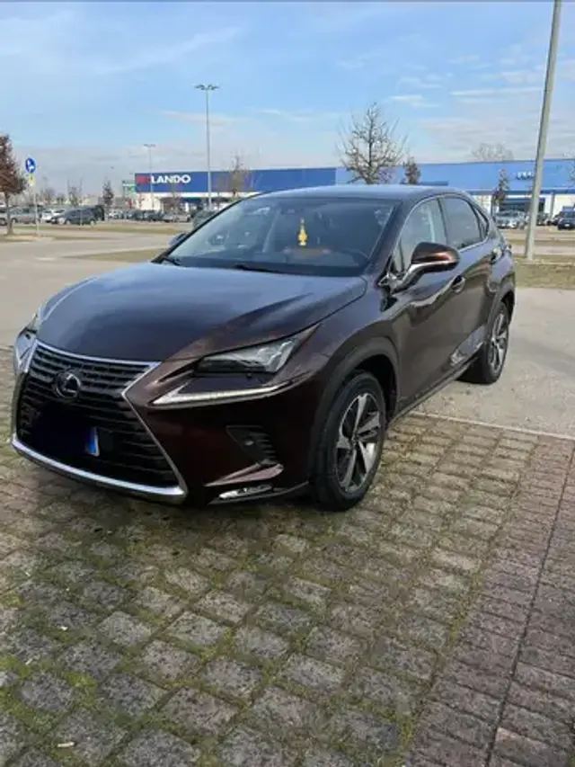 Lexus NX 300h