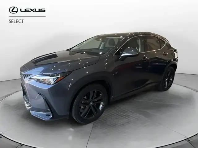 Lexus NX 300