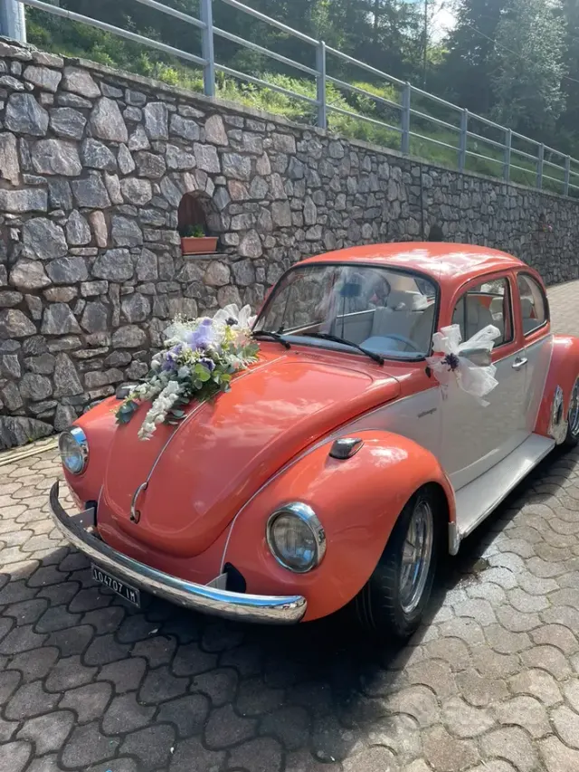 Volkswagen Maggiolino