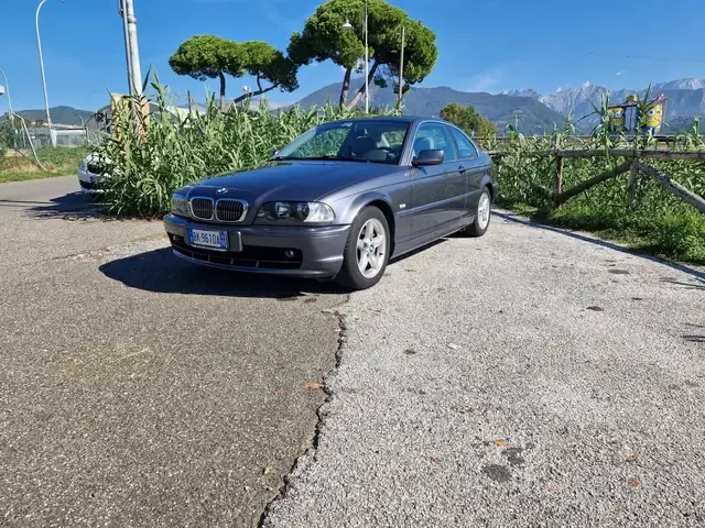 BMW 323