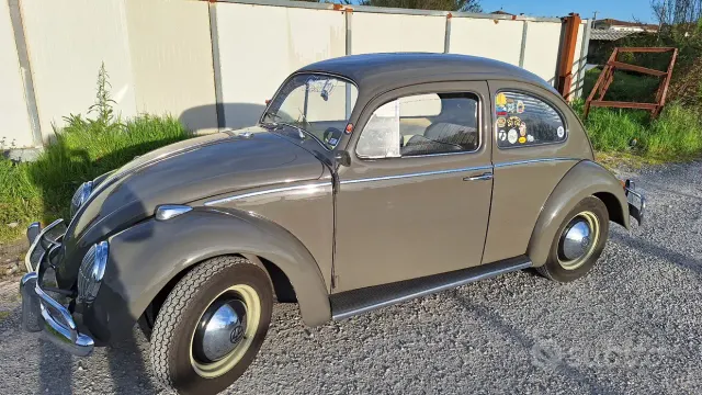 Volkswagen Maggiolino