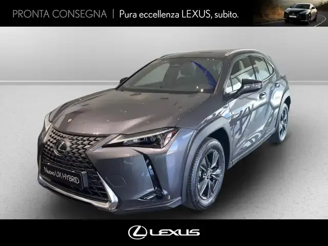 Lexus UX 300h