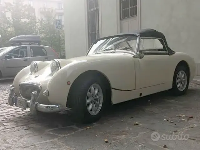 Austin Rover Altro modello