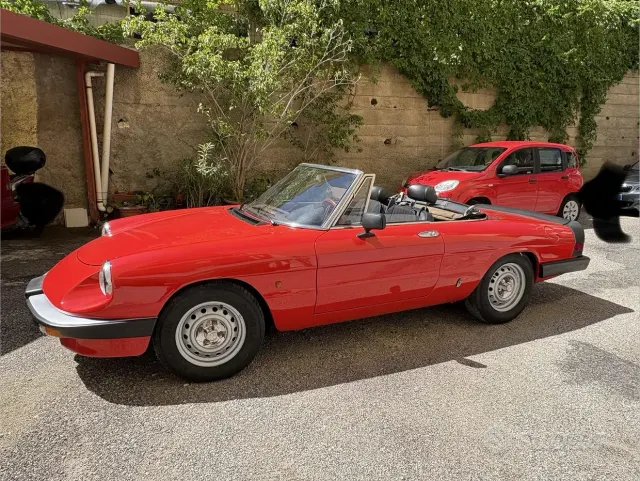 Alfa Romeo Spider