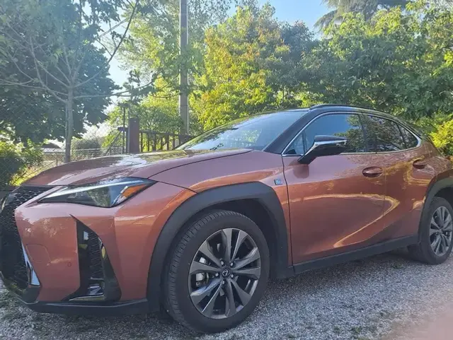 Lexus UX 300h