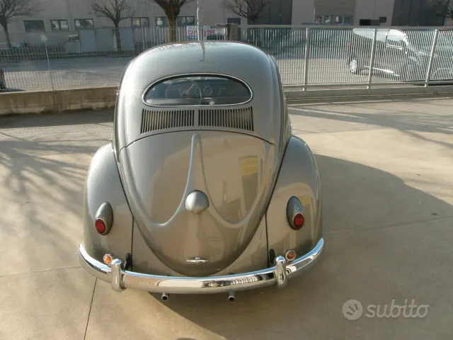 Volkswagen Maggiolino