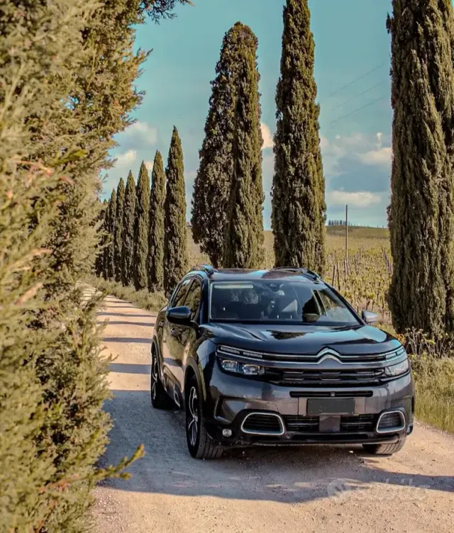 Citroen C5 Aircross 1ª s.