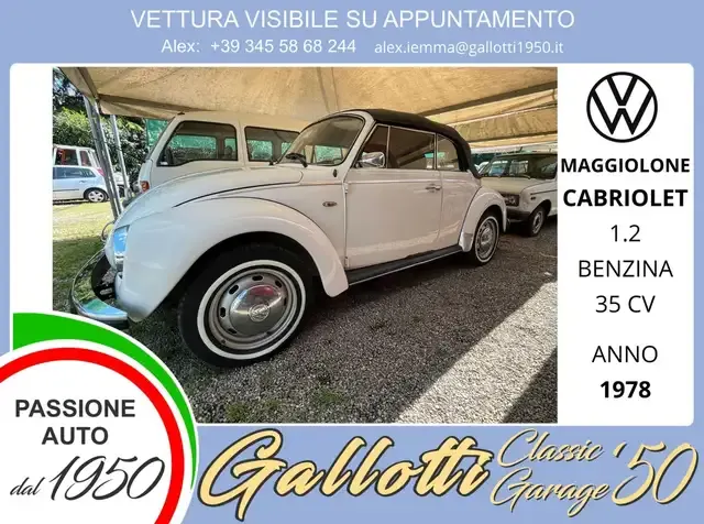 Volkswagen Maggiolino