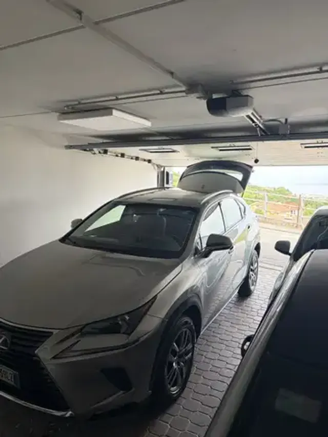 Lexus NX 300h