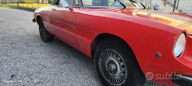 Alfa Romeo Spider