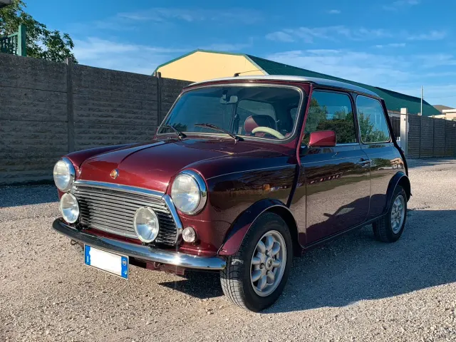 Rover Mini