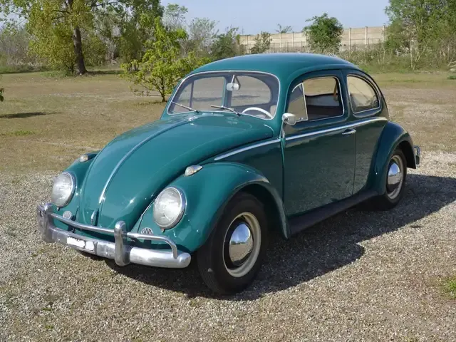 Volkswagen Maggiolino