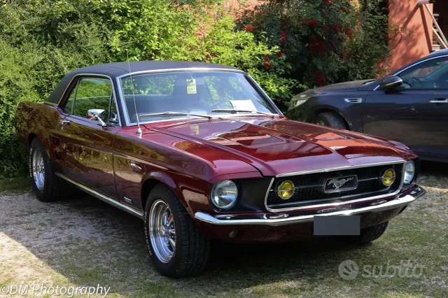 Ford Altro modello