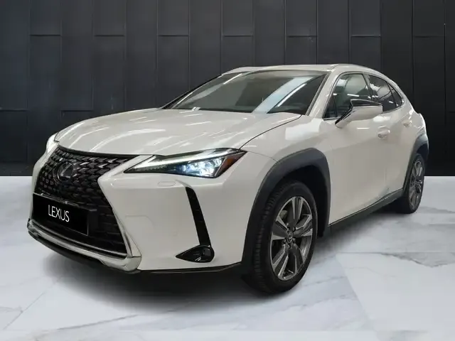 Lexus UX 300e