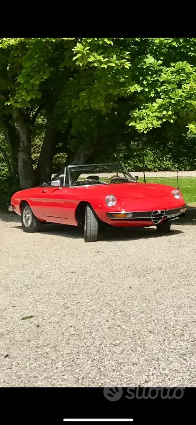 Alfa Romeo Spider