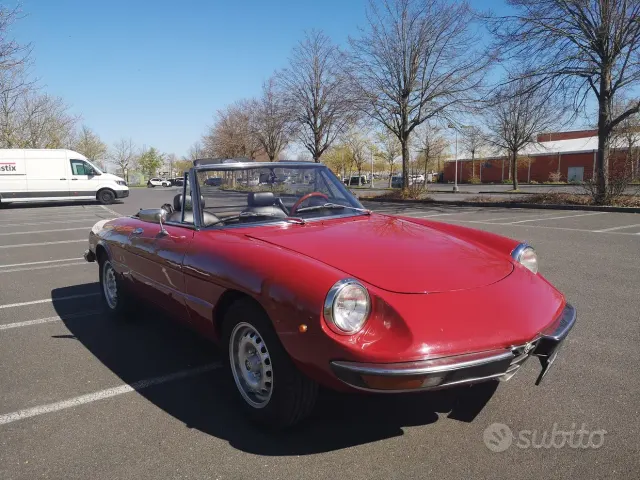 Alfa Romeo Spider
