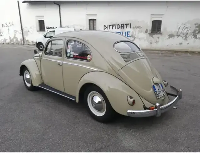Volkswagen Maggiolino