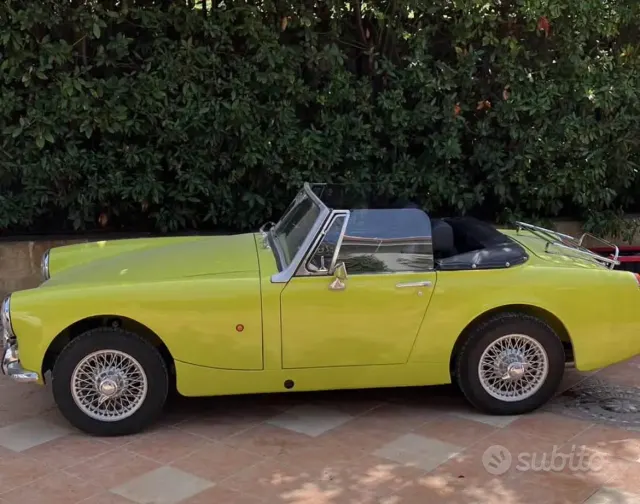 MG Altro modello