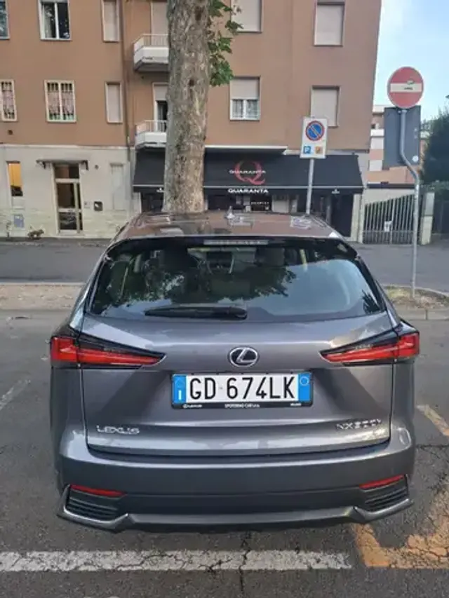 Lexus NX 300h