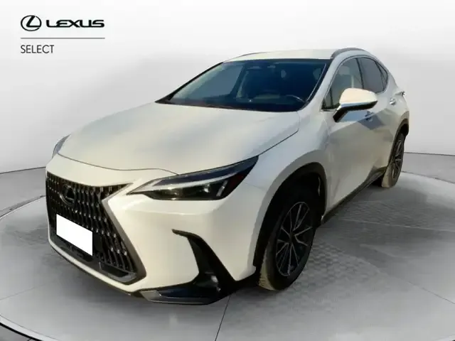 Lexus NX 300