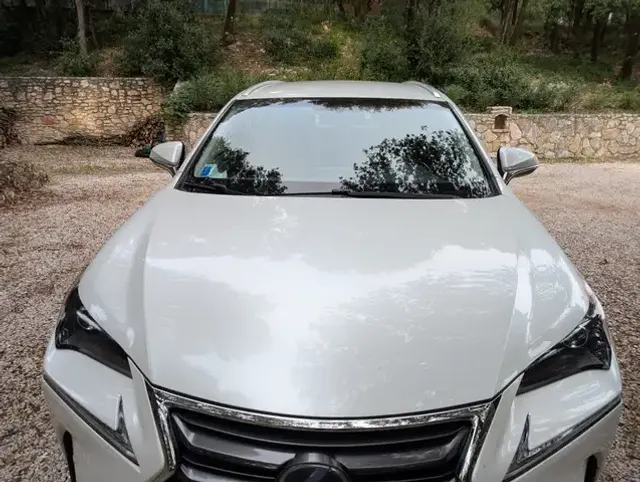Lexus NX 300h