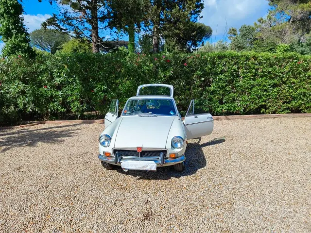 MG Altro modello