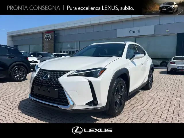 Lexus UX 300h