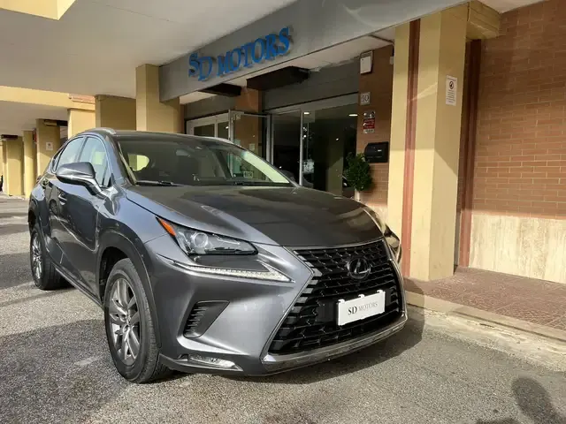 Lexus NX 300