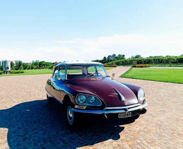 Citroen Altro modello