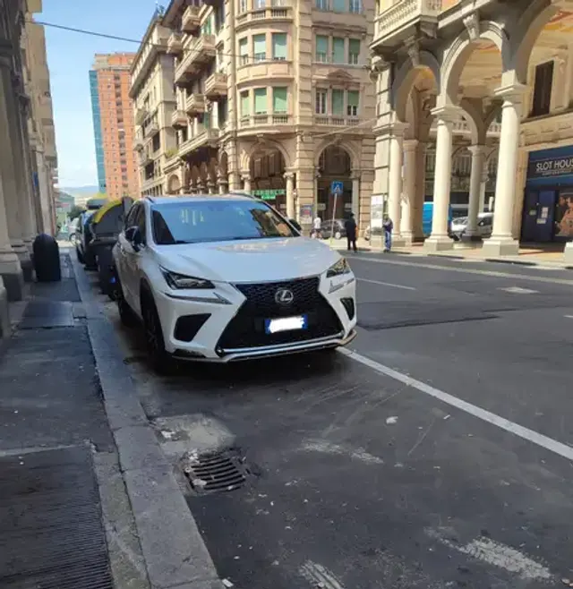 Lexus NX 300h