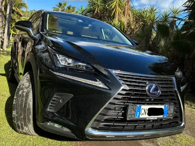 Lexus NX 300h