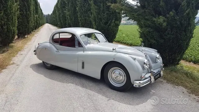 Jaguar Altro modello