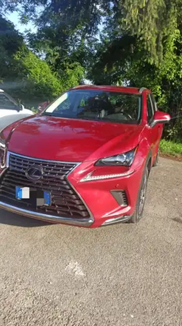 Lexus NX 300h