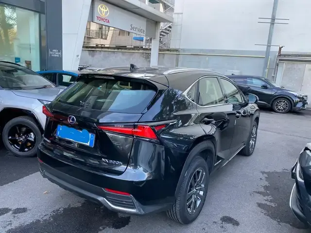 Lexus NX 300