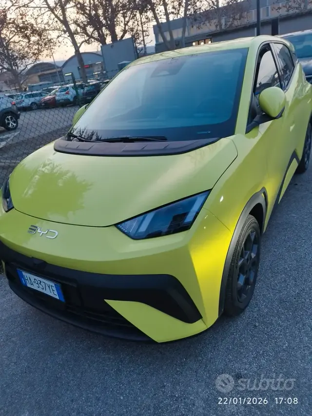 BYD Dolphin Surf