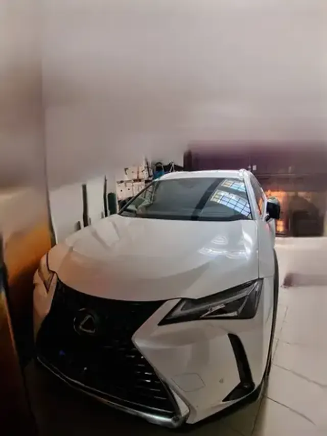 Lexus UX 250h