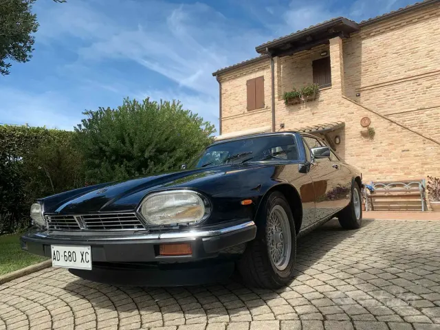 Jaguar XJS-XJSC convertibl